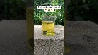Red hot ball vs olive oil #rhcb #satisfying #science #experiment