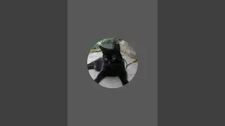 RafB is live!