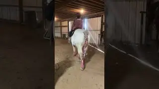Gabby Hair Horse Salon 😱 real life unicorns #omg #gabby101 #horsebraidstyles