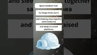 &ldquo;How do Inuit sleep in extreme cold? #facts