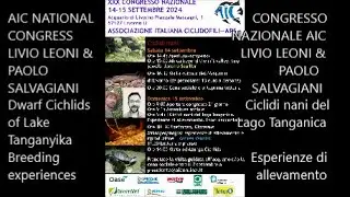 LIVIO LEONI & PAOLO SALVAGIANI : *Dwarf Cichlids of Lake Tanganyika Breeding experiences* *CICLIDI*