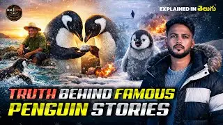 TRUTH BEHIND 😰SAD🐧 PENGUIN BREAK UP💔 STORY | ENDUKU ADHI 🥵ONTARAGAA VELLIPOINDI | EXPLAINED |
