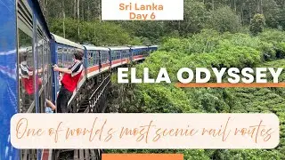 Sri Lanka Day 6 | Nuwara Eliya to Kandy | Ella Odyssey #EllaOdyssey #SriLankaRailway #VisitSriLanka