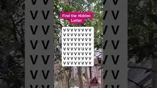 Find the Hidden Letter #quiz #reels #viral #tending #challenge #puzzle #brainteaser #search #find
