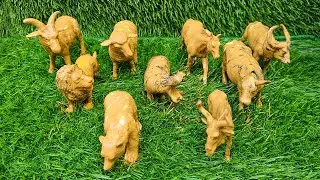 Tiny Mud Explorers!🌿 Learn Powerful Wild and Jungle Animal Names in English