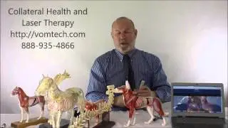 Collateral Health for the Human Delivering Laser Therapy + FREE DOWNLOAD