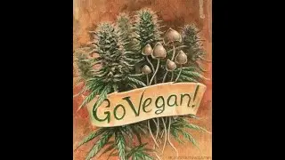 In the News Today April 18, 2022, Happy 420 Week. By My420Spot.com