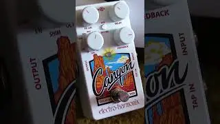 Grand Canyon vibes only! at Twin Town Guitars