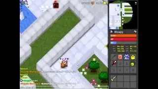 Rotmg Private Server Fun