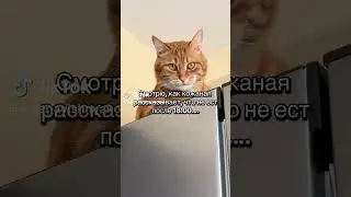 xft us far gif gif t5yrthut