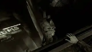 Here they lie
