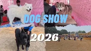 2026❤️karnal dog show🐶mai chale gaye😍