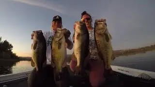 Clear Lake fishing Report August 14th 2025