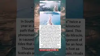 A stunning Korean phenomenon called the &ldquo;Jindo Miracle,&rdquo; where the sea parts twice a year revealing