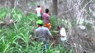 MENANAM POHON BUAH UNTUK SATWA MERAPI