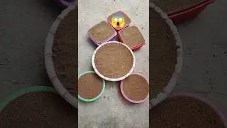 😱Wow beautiful sand cake 🥕 Beautiful Making Shorts 🍉ASMR#ytshorts #viralshorts #asmrvideos