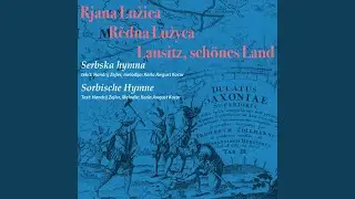 Redna Luzyca