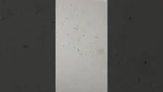 I used the Magic Eraser to get the grease stains off the Wall/Baseboards behind the trash can!