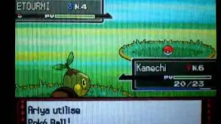Etourmi / Starly shiny Platine
