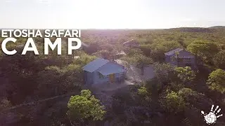 An Authentic Namibian Experience At Etosha Safari Camp