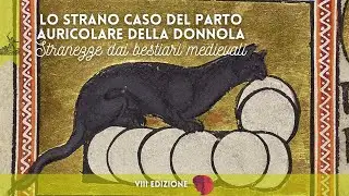 La lanterna di Diogene (VIII Ed.) 🔥 - 