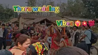 #Tharu wedding //vibes 🥰 with Me Bishal Tharu // @BT-vlogs2060