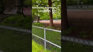 Dog walking area in Canada, Vancouver.