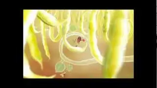 Let's Play Botanicula - 2 серия