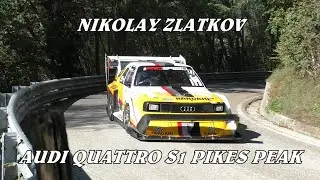 SALITA CIVIDALE - CASTELMONTE 2024 | NIKOLAY ZLATKOV | AUGI QUATTRO S1 PIKES PEAK | BY BELLUNOVIDEO