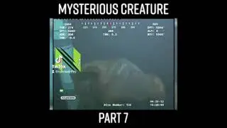 Mysterious Creatures: Part 7 - A New type of Jellyfish?