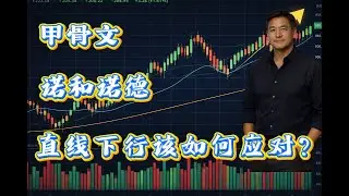 甲骨文（ORCL）腰斩、诺和诺德（NVO）暴跌，如何应对？#美股 #股市 #股票 #投资 #投資 #财经 #纳斯达克 #道琼斯 #标普 #甲骨文 #orcl #nvo #特斯拉 #英伟达
