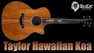 Taylor Custom Grand Auditorium Acoustic-Electric Hawaiian Koa Top and Body