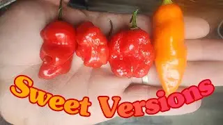 Eating the 