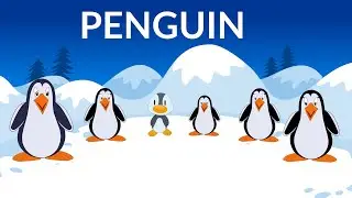 Learn about Penguins  | Penguin Information | Video for Kids