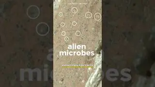NASA may have just found life on Mars (not clickbait)