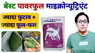 फसलों में ज्यादा फुटाव + फूल फल के लिए Best Micro nutrient fertilizer | Solute mix2 | zn fe cu mn B