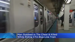 Man dead after stabbing on CTA Blue Line train