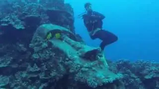 Diving Easter Island