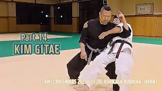 AIKI CROSSROADS 2025 part 14. AIKI KEMPO 합기권법의 현대적 적용 (격투기 원투 대응, 로우킥 활용) #合気 #大東流 #aiki 
