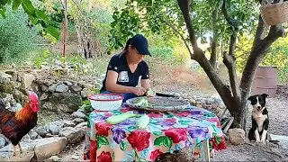 Rustic Squash &Tomato Delight |Traditional Rural #squash  #traditional_cooking #cooking #rural