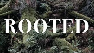 Rooted in Responsibility | Velocity Christian Church | Sundays at 10AM
