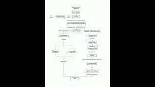 Mind map for cellular respiration # NEET- 2023       # Glycolysis + Citric acid cycle / TCA