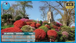 〖4K〗The Most Beautiful Catholic Church in Korea : Spring Flowers at Gongseri Church  봄꽃 절정 아산 공세리 성당