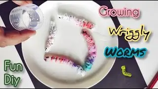 Growing Wriggly Worms 🐛 Super Easy And Fun | Kids Activity |