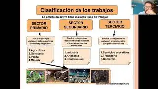 Sectores primario, secundario y terciario