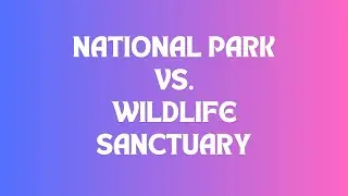 Understanding the Contrast: National Parks vs. Wildlife Sanctuaries