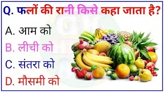 फलों की रानी किसे कहा जाता? || Gk Questions And Answer || Gk Quiz || Gk Question || Gk In Hindi