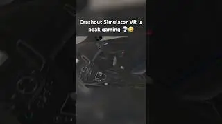 Crashout Simulator VR is peak gaming 💀🤣 #vr #gaming #quest3 #pcvr #bonelab #bonelabs #vrgaming