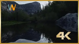 🏞 Springtime Serenity: Relaxing Nature Sounds and 4K Scenery at Mirror Lake, Yosemite National Park
