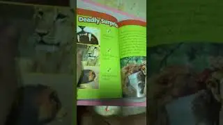 Nat Geo Kids book: Deadliest animal book